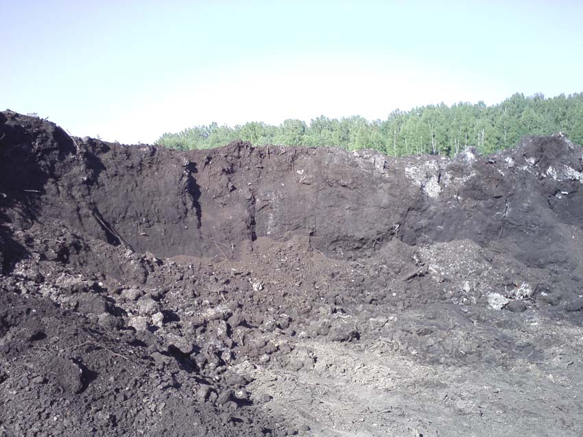 перегной в лотошино